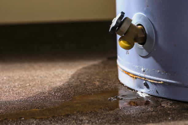Best Commercial water damage restoration  in Pima, AZ