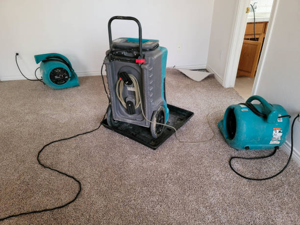Best Water damage restoration specialists  in Pima, AZ