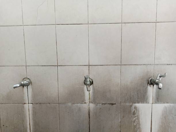 Best Basement water damage restoration  in Pima, AZ