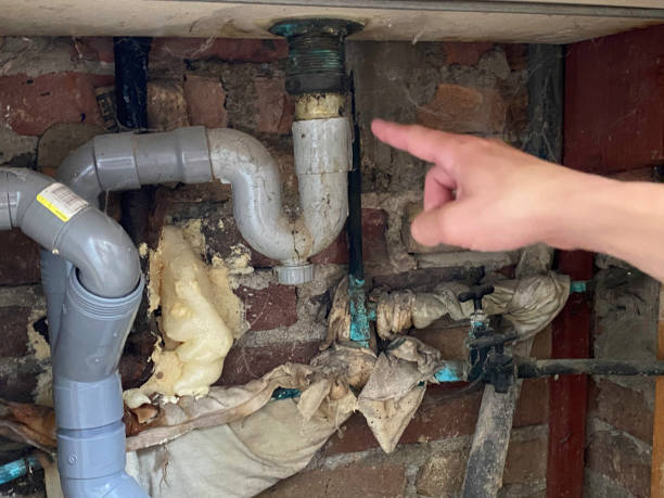 Best Basement water damage restoration  in Pima, AZ